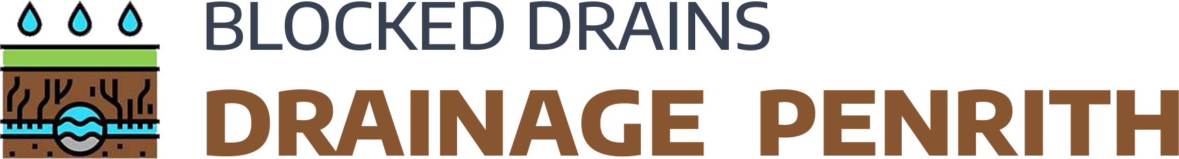 website logo